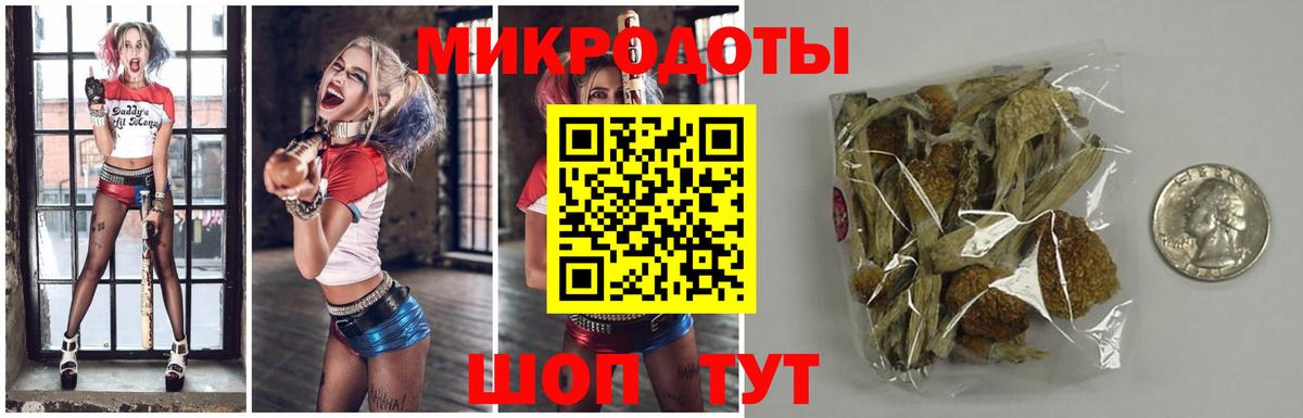 Новошахтинск  Галлюциногенные грибы GOLDEN TEACHER  Вход с VPN 